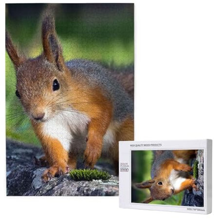 Scoiattolo carino, Puzzle 1000 pezzi Puzzle in legno Giocattolo Gioco per famiglie Decorazione da parete per adulti Adolescenti