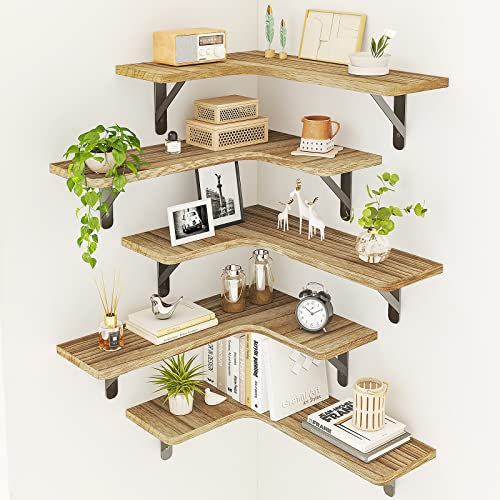 Fixwal Schwebendes Wandregal, rustikales Holzregal, schwebendes Regal, für Badezimmer, Küche, Schlafzimmer, Heimdekoration, Waschküche, Wohnzimmer, 5 Stück (Schwarz karbonisiert)