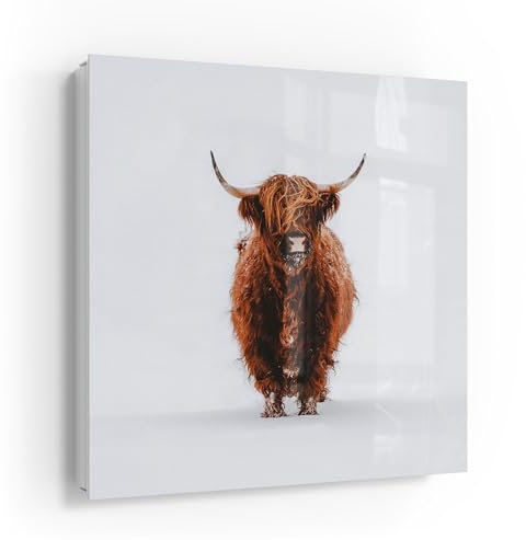 DEQOART Schlüsselkasten weiß | 30x30 cm | Motiv Wildes Hochland | Glas & Metall Schlüssel-Box | Schlüsselschrank mit 50 Haken + 2 Magnete | Moderne Design Box magnetisch & beschreibbar