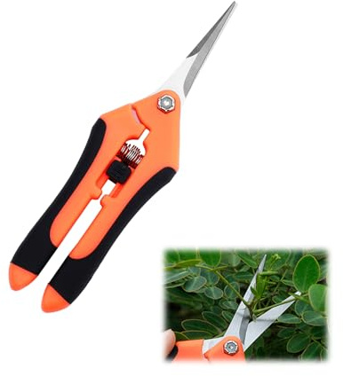 Skeadex Professionell Baumschere, Hochbelastbar Trimmschere, Rostfreier Stahl Klingen, Gartenschere für Bonsai Pflanzen Blumen Ernte Obst Gemüse (Orange)