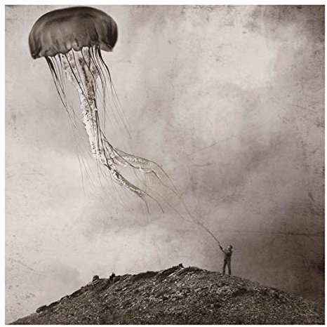 Glas Bild Echtglas Wandbild Kunstdruck - Fliegende Medusa - Quadrat 50 x 50 cm