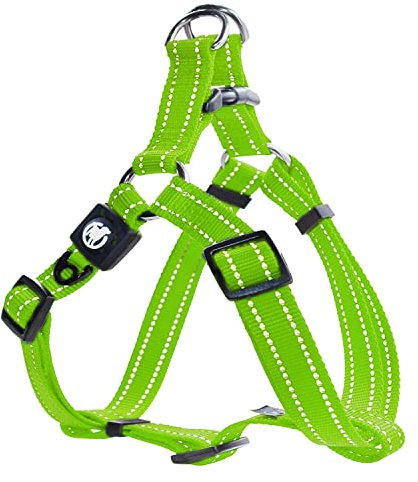 BOGO DDOXX Reflektierendes Nylon Step-In Hundegeschirr - Verstellbare Brust Welpengeschirr für alle Größen - XXS (Grün)