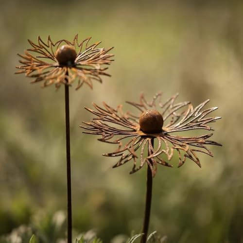 yeeplo Set di 2 decorazioni da giardino arrugginite per giardino, in acciaio corten, decorazione da giardino, in metallo, con papavero, decorazione da giardino, griglia, spina per aiuole, spina in