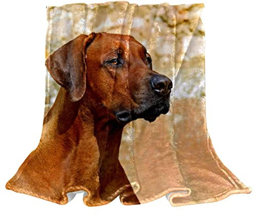 KQNZT Bettwäsche Fleece Decke Queen Size Grau Luxus Bettdecke Fuzzy Soft Decke Mikrofaser,Tierhund Rhodesian Ridge Back