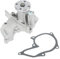 Partuto Pompa dell'acqua No. 1007714/96MX8591AA - Pompa dell'acqua anteriore per auto - per Ford Fiesta 1995-002 Metallo Tono argento con guarnizione - 1 set.