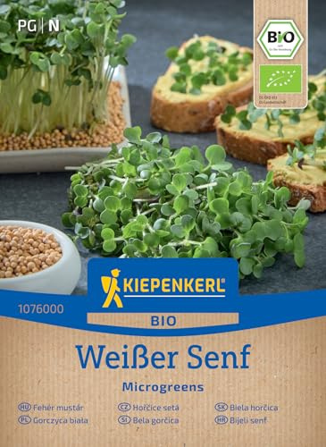 Kiepenkerl BIO Microgreen-Saat Weißer Senf Samen 1076000, Keimsprossensaat | Für intensive Schärfe, Microgreens & Keimsprossen