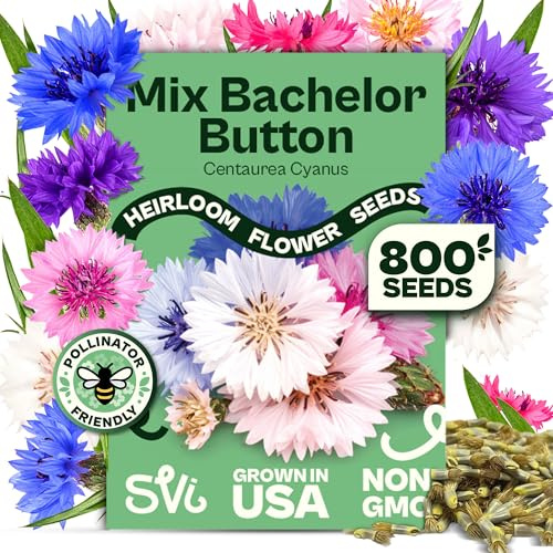 SVI 800 Bachelor Button Seeds for Planting (Centaurea cyanus) – Cornflower, Wildflower Mix Seed Packets – Heirloom Flower Seeds to Plant Outside in Garden, Borders, and Containers