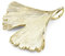 MATERIA Gold Ketten-Anhänger Ginkgo Blatt mit Goldkette Schmuck Set KA-277-Gold_K126-45 cm