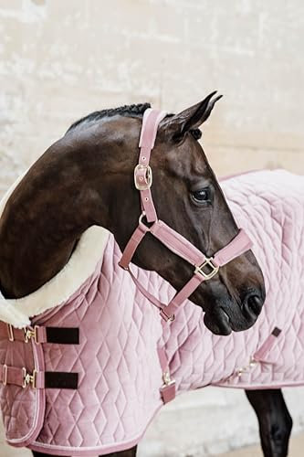 Kentucky Horsewear - Halfter - Samt - Altrosa - Cob