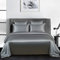 Michorinee Housse de Couette Satin 140x200 Grise foncé avec Taie d'oreiller 65x65 cm Parure de Lit Adulte 1 Personne Linge de Lit Satin de Soie Brillante avec Fermeture Éclair
