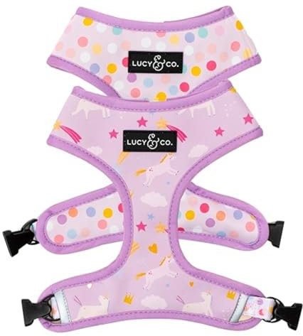 Lucy & Co. Niedliches wendbares Hundegeschirr, Spazierengehhalfter, beste Designer-Haustiergeschirre für XS-XL, gepolsterte, verstellbare Weste für einfaches Spazierengehen (Größe S, Einhornzauber,