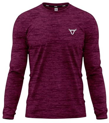 Mens T Shirt Quick Dry Light Weight Soft Moisture Wicking Active Plain Full Sleeve Athletic Shirts Workout Top S/2XL