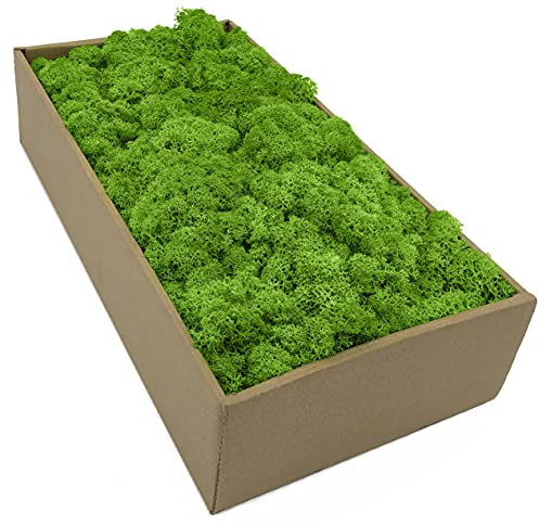 Islandmoos - Moos in 5 versch. Farben 250gr / 500 gr / 1Kg echtes konserviertes Natur Moos zum Moosbild basteln Deko und Modellbau (Grassgrün hell, 250 gr)