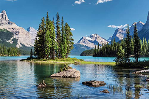 Papier Peint Photo INTISSÉ-MONTAGNE-(FP3799)-350x260 cm-Alpes Paysage Lac Forêt Prairie Fleurs Cascade Nature Murale XXL Poster Géant Affiche Décoration