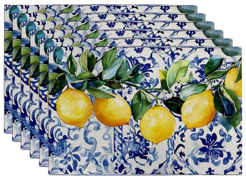 6er Set Platzsets Frühling Sommer Zitrone Blau Mediterrane Frucht Platzsets für Esstisch rutschfest Waschbar Indoor Outdoor Party Deko Platzset