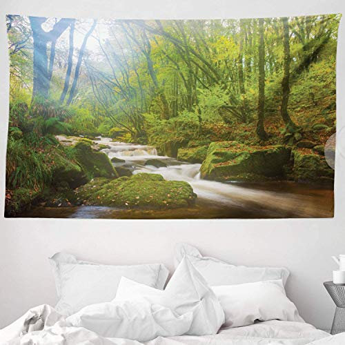 ABAKUHAUS Waldgebiet Wandteppich, Waldszene im Golitha Falls Naturreservat am Fluss Fowey Cornwall England, aus Weiches Mikrofaser Stoff Wand Dekoration Für Schlafzimmer, 230 x 140 cm, Waldgrün Braun