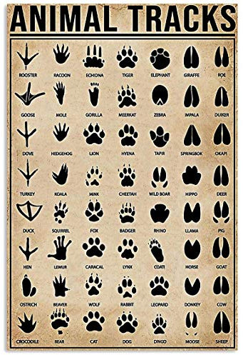 Inga Animal Tracks Vintage Wanddekoration Metallschild Plakette 20,3 x 30,5 cm