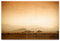 BilderKing Schönes Acrylglasverbund-Bild 90x60cm Afrika. EIN Elegantes, modernes 8mm Acrylbild Savanne für Wohnzimmer, Schlafzimmer, Flur, Küche. Mit Befestigung für schwebende Optik
