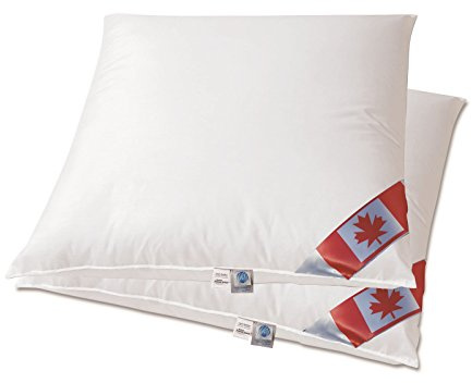 betten-traum-land Angebot 2 Air-O-Cell Pure Classic Kissen 80x80 Füllmenge ca. 900 g 80% Federn/Daune 20% Air-O-Cell Stäbchen