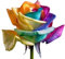 Haloppe 100 Stück Regenbogen-Rosen-Blumen-Pflanzen-Samen für die Bepflanzung des Hausgartens, Regenbogen-Rosen-Samen Jährliche Garten-Blumensamen für den Balkon Saatgut