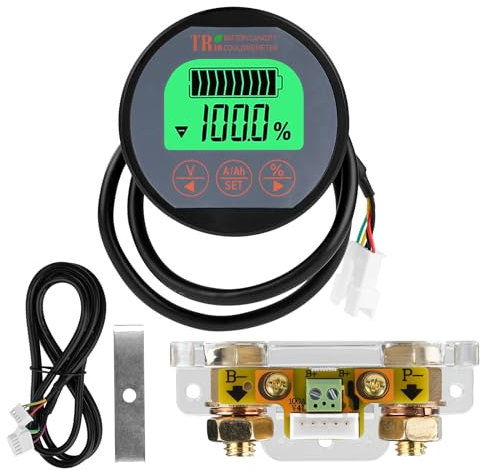 DewinLVD Monitor Batteria, Voltmetro Amperometro Impermeabile Coulomb Meter con Display LCD con Cavo 2m 8-120V 100A per Camper Auto Barche