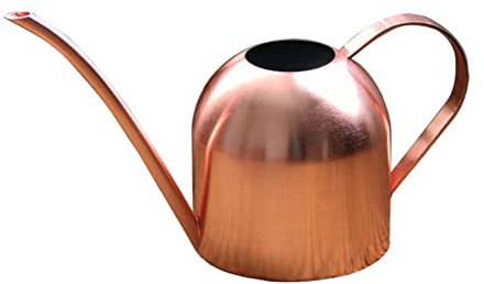 Anawakia Annaffiatoio per piante da interni in acciaio inox con beccuccio lungo, annaffiatoio moderno per piante (1500 ml, oro rosa)