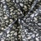 0,5m bedruckter Canvas-Stoff Baumwollstoff Meterware Oeko-Tex zertifiziert, Motivwahl, Motiv:Floral | anthrazit