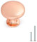 Probrico 12 Pack Kupfer Schrank Türknöpfe Möbel Schublade Griff Pilz Küche Schrank ziehen Durchmesser 30 mm poliert Rose Gold