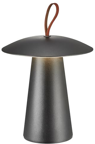 LED Akku Tischleuchte Ara To-Go 2 in Schwarz 240lm IP54