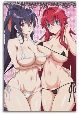 LIHAIXUAN High School DXD Poster auf Leinwand, ästhetische Bilder, Kunstdrucke für Wanddekoration, 30 x 45 cm, ungerahmter Stil