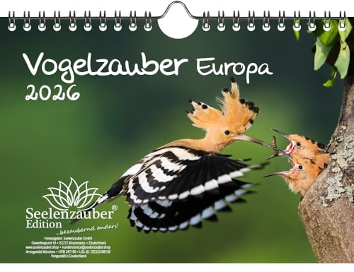 Vogelzauber Europa DIN A5 Kalender für 2026 Vogel - Seelenzauber