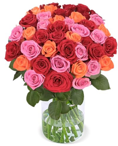 Rosenstrauß Rosenbeet, 50 Rosen, Rot, Pink & Orange, Ideales Blumengeschenk, 50 cm, Qualität vom Floristen, 7-Tage-Frischegarantie, Schneller Blumenversand