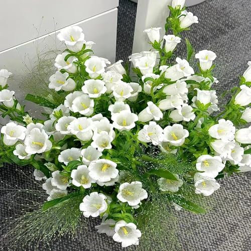 100 pcs glockenblumen baum samen - blumen balkon glockenblume, indoor garden gartensamen blumensamen geschenk, gartenkräuter samen kräuterpflanzen balkonpflanzen winterhart bodendecker