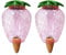 Illkjasfc 2 pezzi auto goccia irrigazione fragola irrigazione automatica pianta giardino giardino domestico acqua serra