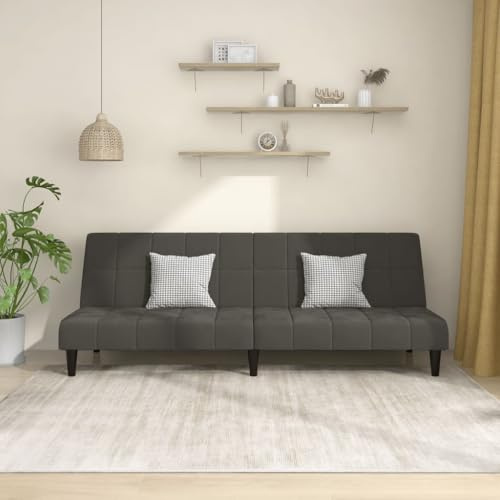 Frdhee Kleine Sofas Für Kleine Räume,Schlafsofa 2-Sitzer Dunkelgrau Samt für Wohnzimmer, Büro, Zimmer, Lounge, Schlafzimmer