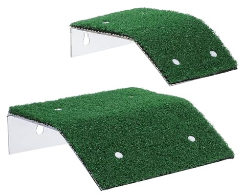 Healifty Rampe D’évacuation Piscine pour Petits Animaux, 2 Pièces Vert | Ventouses, Pente Douce Humanisée, Plastique Résistant aux Intempéries, pour Secours D’urgence au Bord du Bassin
