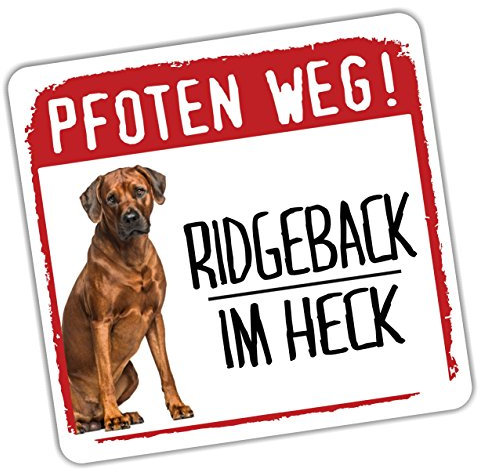 Siviwonder Autoaufkleber Rhodesian Ridgeback im Heck reflektierende Reflexfolie Hinweis Hund im Auto 9 x 8 cm für Heckscheibe Heckklappe Stoßstange Hundeaufkleber für Pkw SUV Kombi Wohnmobil Van außen