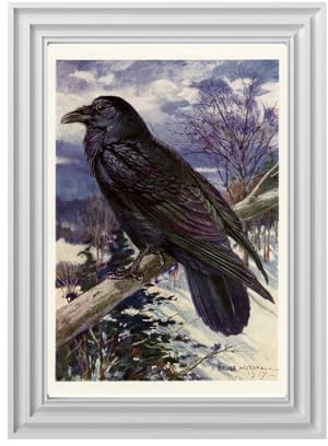 Din A4 Kunstdruck ungerahmt - Vintage Rabe Krähe Antik Retro Landschaft Vogel Druck Poster Bild