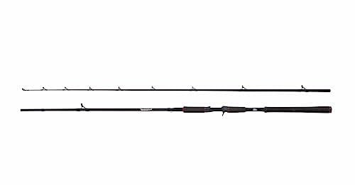 Abu Garcia Beast Pike 842XH 40-140g Casting, 2,54m, Baitcastrute, 1561312