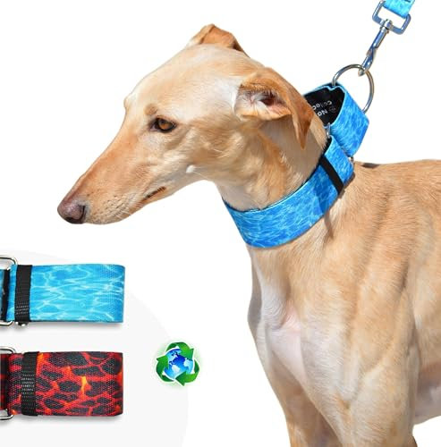 BUB'S Nature Collection - Hundehalsband aus recyceltem Polyester, Martingale - Winddichtigkeitshalsband (L, Aqua)