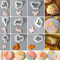 MURMUR Lot de 9 emporte-pièces japonais en résine Wagashi pour formes d'animaux faites à la main, matériau résineux Wagashi pour bonbons japonais