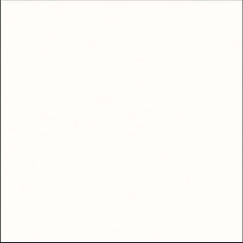 Polar White Plain Colour Vinyl Flooring 2mm R11 Anti-Slip Foam Backed Lino for Kitchen Bathroom Hall (2m x 2.5m)