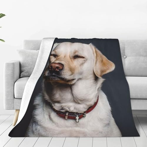 DENMER Süße Labrador-Hundedecke, ultraweich, Mikro-Fleece-Decke, luxuriös und bequem für alle Jahreszeiten