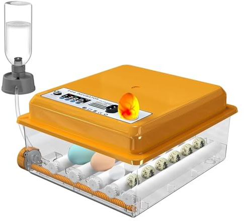 Chalixion Brutautomat Vollautomatisch für 16 Eier, Inkubator mit Temperaturregelung, automatischem Wenden und Wasserzugabe