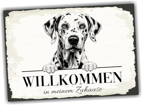 siviwonder Hundeschild Willkommen Zuhause Dalmatiner No.1 Dog Schild Spruch Türschild Warnschild Geschenkidee schöner Spruch Hundemotiv Aluminium Wetterfestes Hundeschild