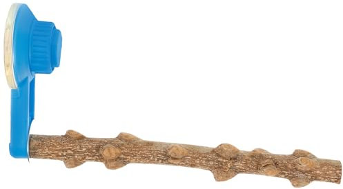 VANZACK Bird Parrot Stand, Bird Wood Perch with Portable Suction Cup for Window Wall Hanging Play - Perch Shower Perch Standing Holder