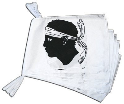 Grande Guirlande 12 drapeaux France Corse - 30 x 45 cm / 8,9 m + Digni®-sticker gratuit