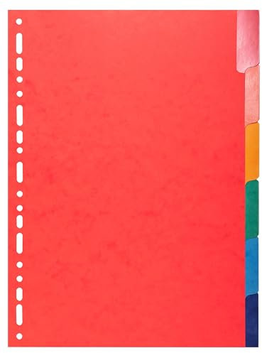 Exacompta - Réf. 2206E - Carton de 25 Intercalaires en carte lustrée 225g/m2 FSC® avec 6 onglets neutres en couleurs - renforcés et plastifiés - Bande de perforation renforcée - Format à classer A4