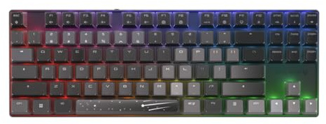 Cherry MX 8.2 TKL Wireless Gaming Keyboard XAGA Edition. (Black, MX2A Brown Switch)