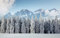 adrium Acryl-Bild 50 x 30 cm: Majestätische Landschaft mit Wald im Winter. Landschaftlicher Hintergrund. (158414567)